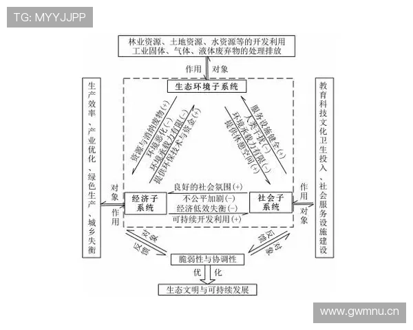 探究企业家特征驱动创新与可持续发展的关键影响因素系统深度解析